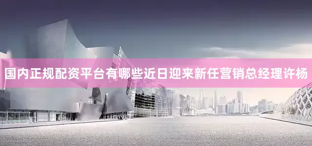 国内正规配资平台有哪些近日迎来新任营销总经理许杨