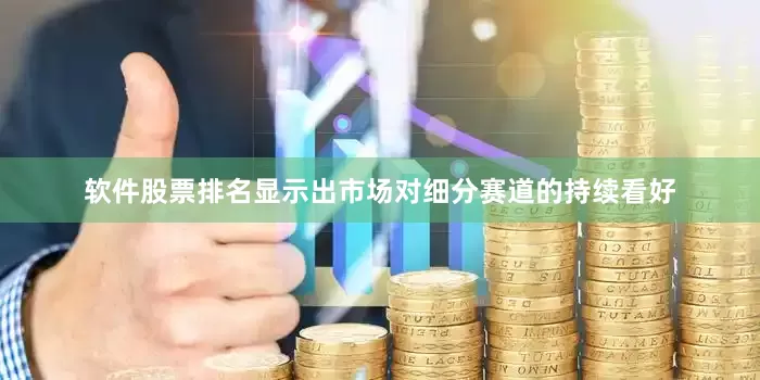 软件股票排名显示出市场对细分赛道的持续看好