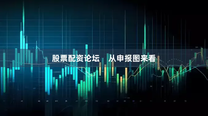 股票配资论坛    从申报图来看