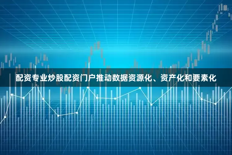 配资专业炒股配资门户推动数据资源化、资产化和要素化